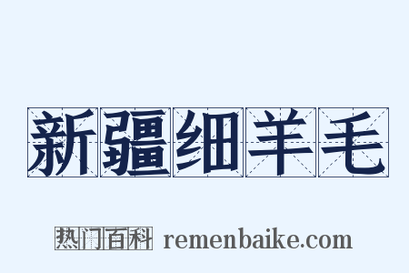 新疆细羊毛是什么意思的图片